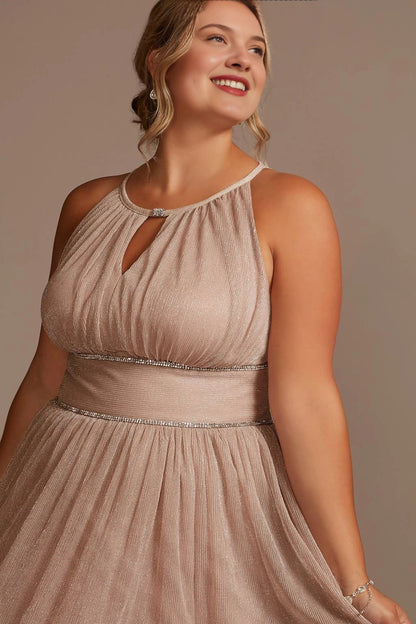 Elegant A-Line Halter-Neck Sleeveless Keyhole-Back Plus Size Mother of the Bride Dress