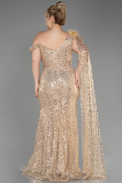 Glamorous Plus Size Mermaid Asymmetric Sequin Sleeve Zipper Back Long Evening Dress