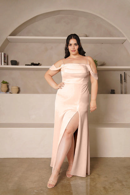 Elegant Mermaid Straight Neck Off Shoulder Zipper Back Long Plus Size Wedding Guest Dress