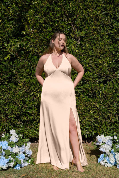 Elegant Sheath V-Neck Halter Tie Back Long Plus Size Bridesmaid Dress