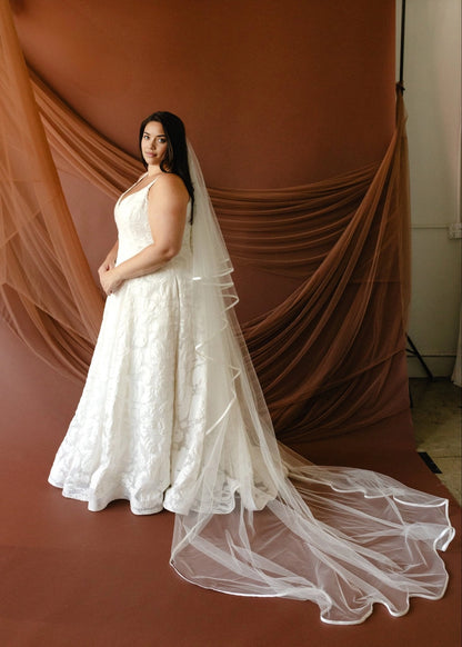Romantic A-Line V-Neck Sleeveless V-Back Floor-Length Plus Size Wedding Dress