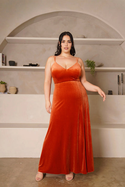 Elegant A-Line V-Neck Double Strap Zipper Back Long Plus Size Evening Dress