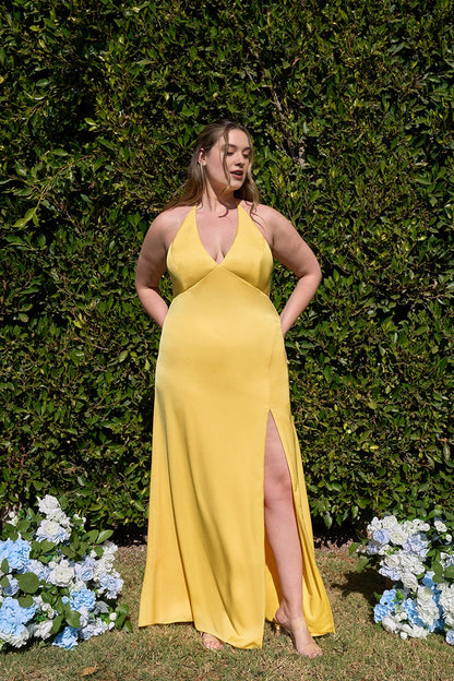 Elegant Sheath V-Neck Halter Tie Back Long Plus Size Bridesmaid Dress